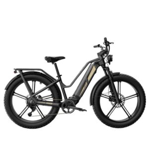 Fiido Titan Cargo 750W 135 km Bicicleta Eléctrica